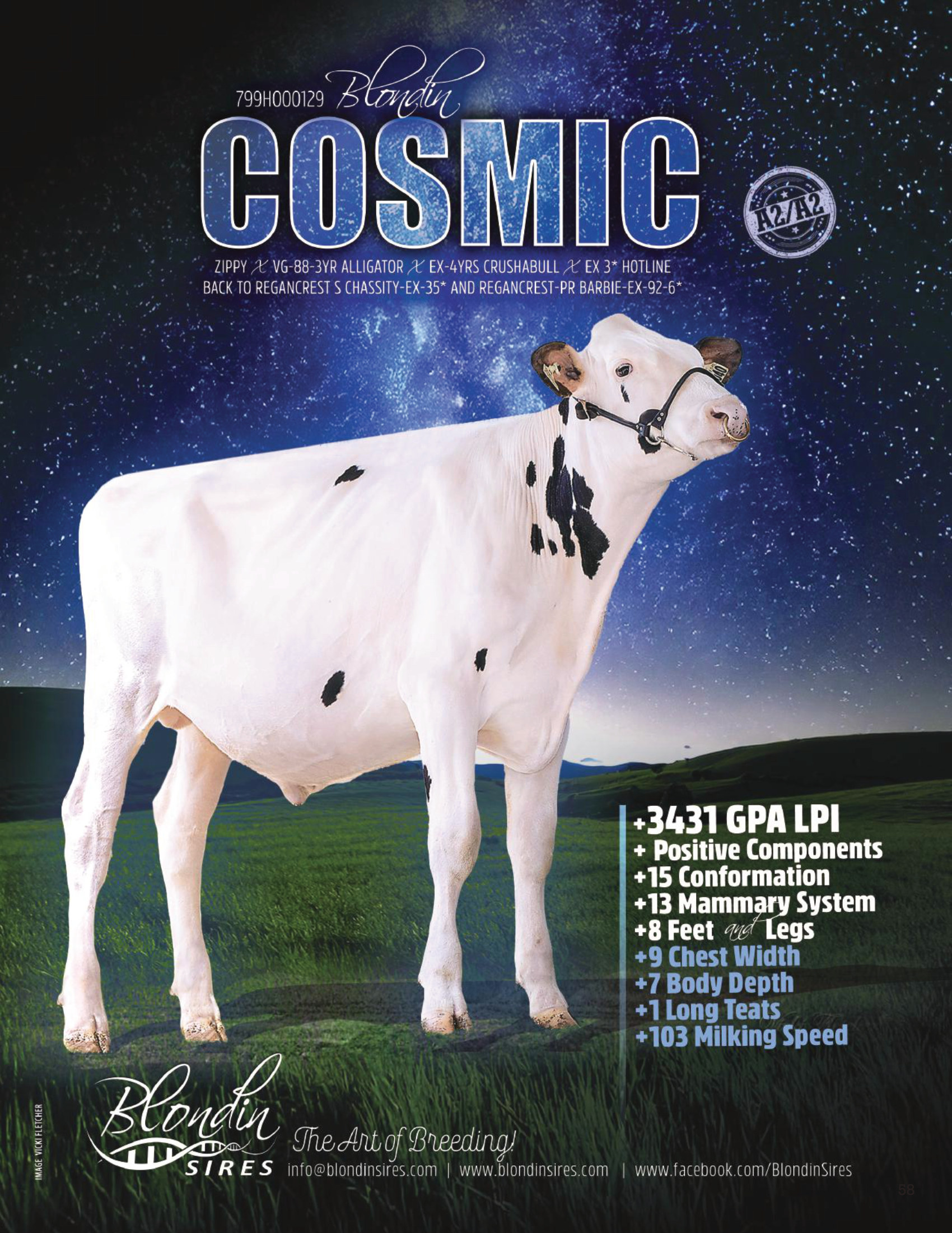 COSMIC — 799HO00129